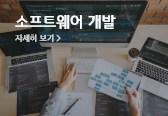 소프트웨어 개발